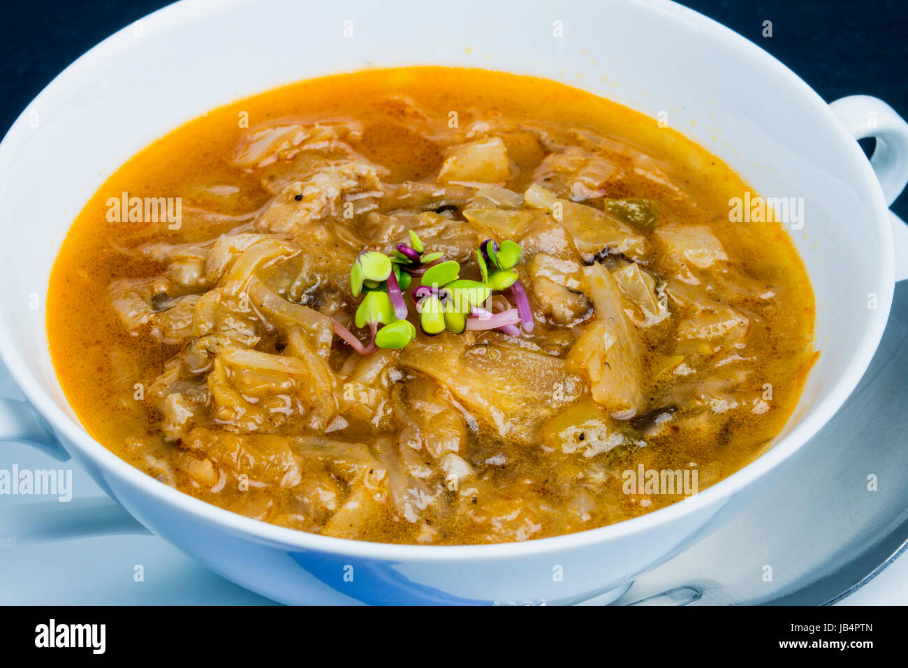 Soljanka suppe -Fotos und -Bildmaterial in hoher Auflösung – Alamy