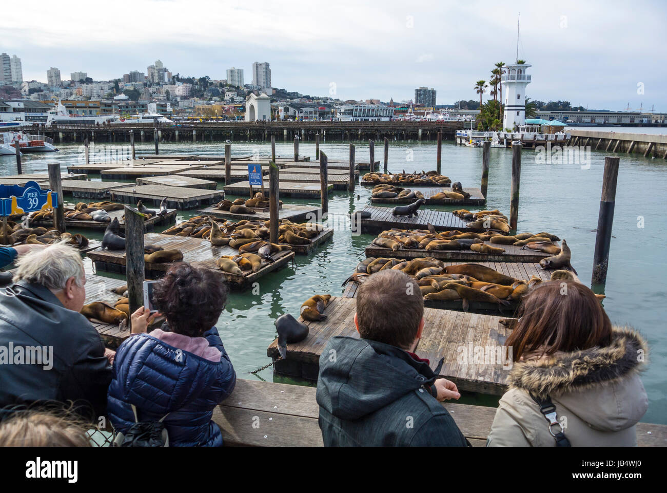 San Francisco, Kalifornien, Vereinigte Staaten von Amerika, Touristen an den Seelöwen Pier 39 suchen Stockfoto