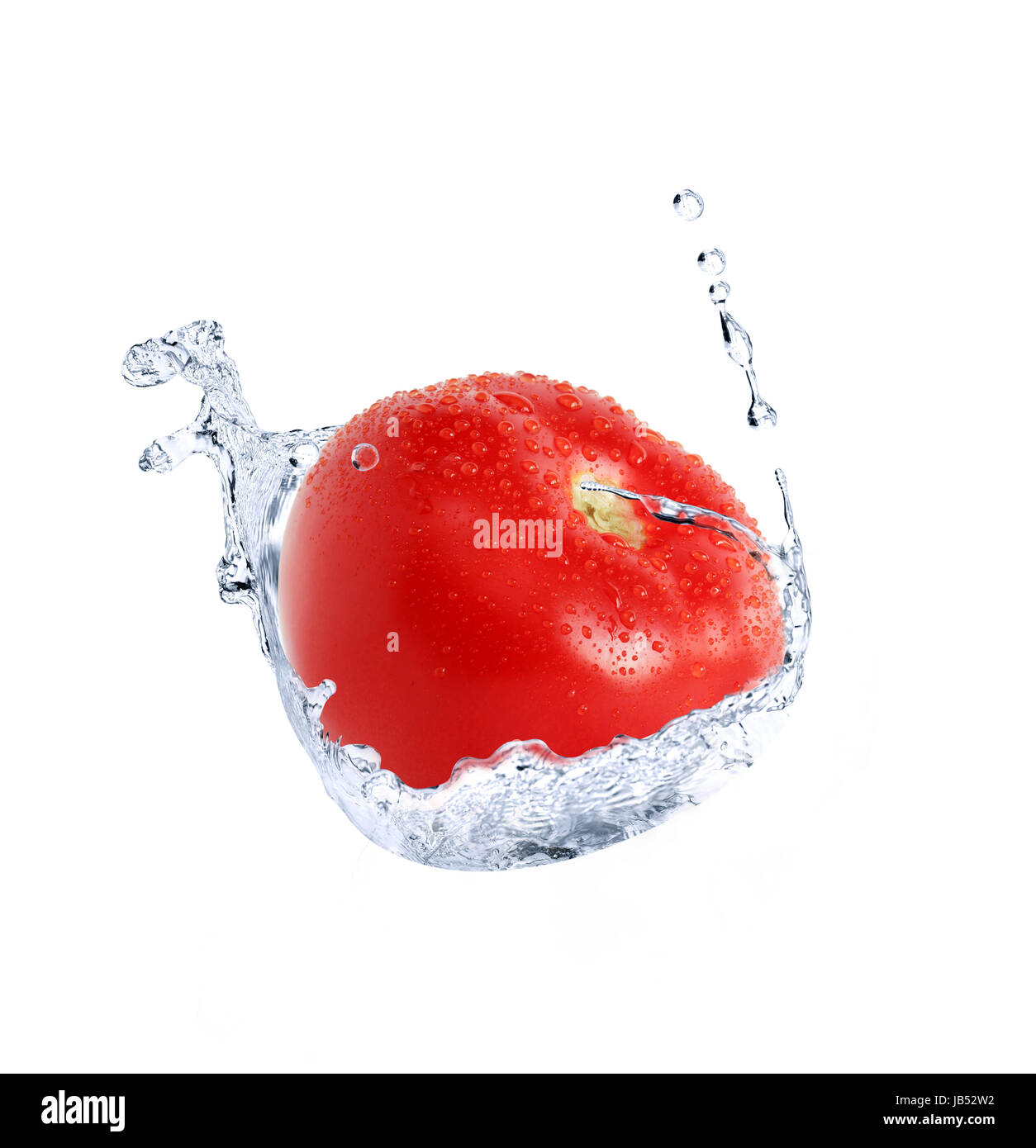 Frische rote Tomate im Spritzwasser vor weißem Hintergrund Stockfoto