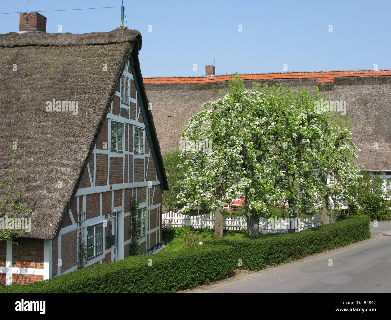 Frühling Im Alten Land Stockfoto