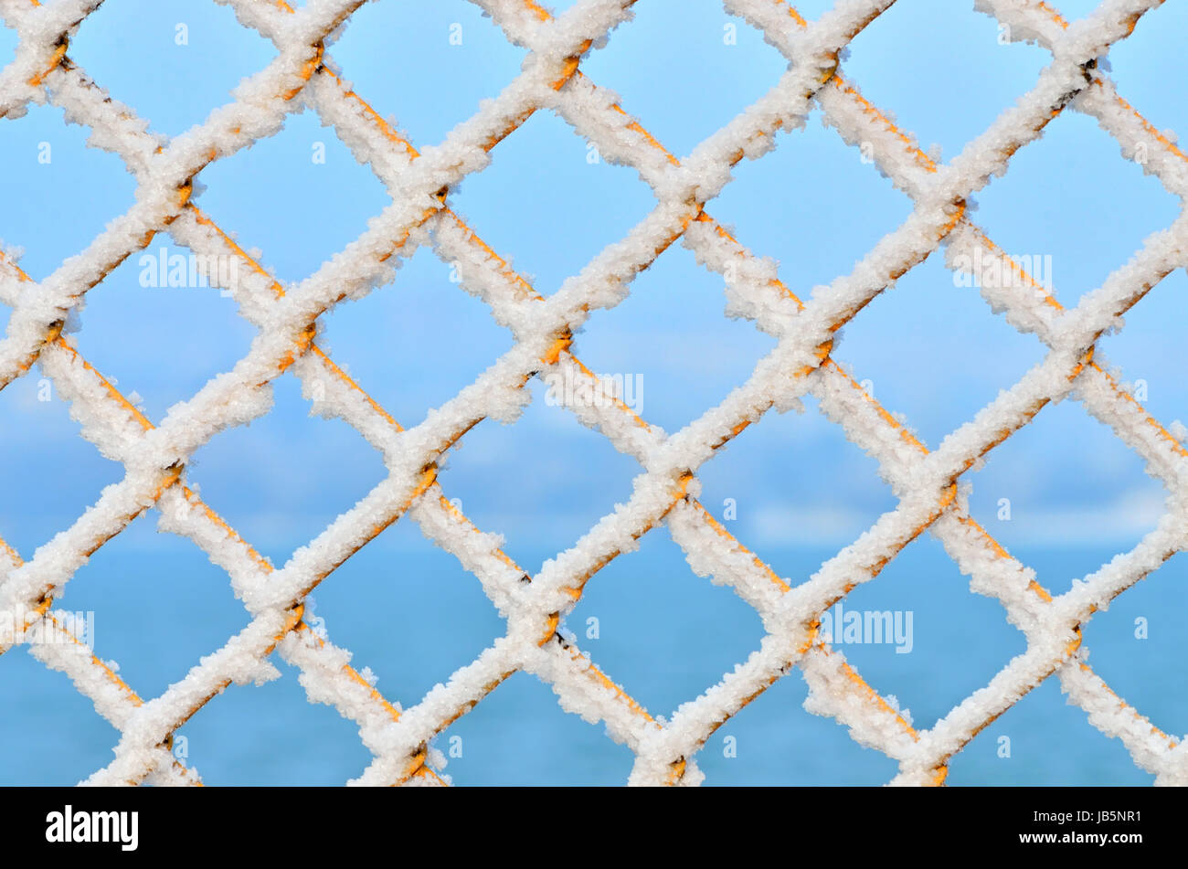 Makro mit Schnee auf Zaun schießen Stockfoto