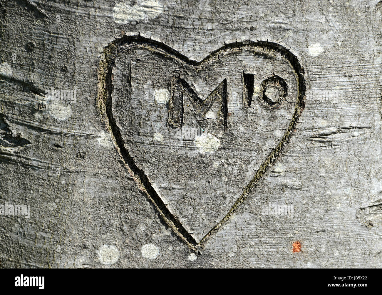Herz mit dem Buchstaben, den m "Power of 10" Schnitt in die Rinde eines Baumes, den oder gab es eine Affäre mit M in 2010? Stockfoto