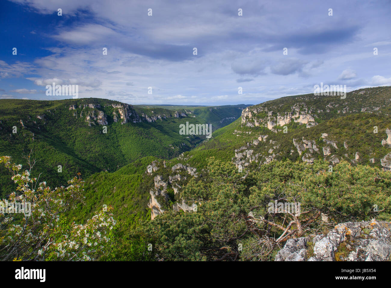 Frankreich, Aveyron (12), la Roque-Sainte-Marguerite, Chaos de Montpellier-le-Vieux et Vue Sur Les gorges De La Dourbie / / Frankreich, Aveyron, la Roque Saint Stockfoto