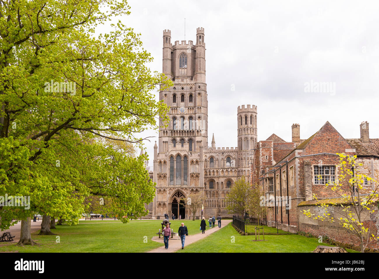 Ely Kathedrale in Ely, Cambridgeshire, England, Großbritannien, Uk Stockfoto