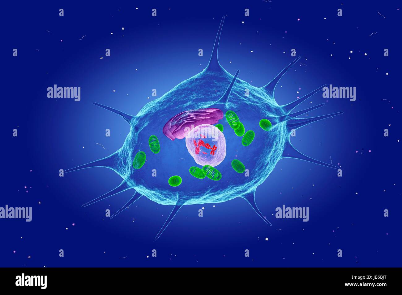 Osteocyte Zelle, Abbildung. Stockfoto