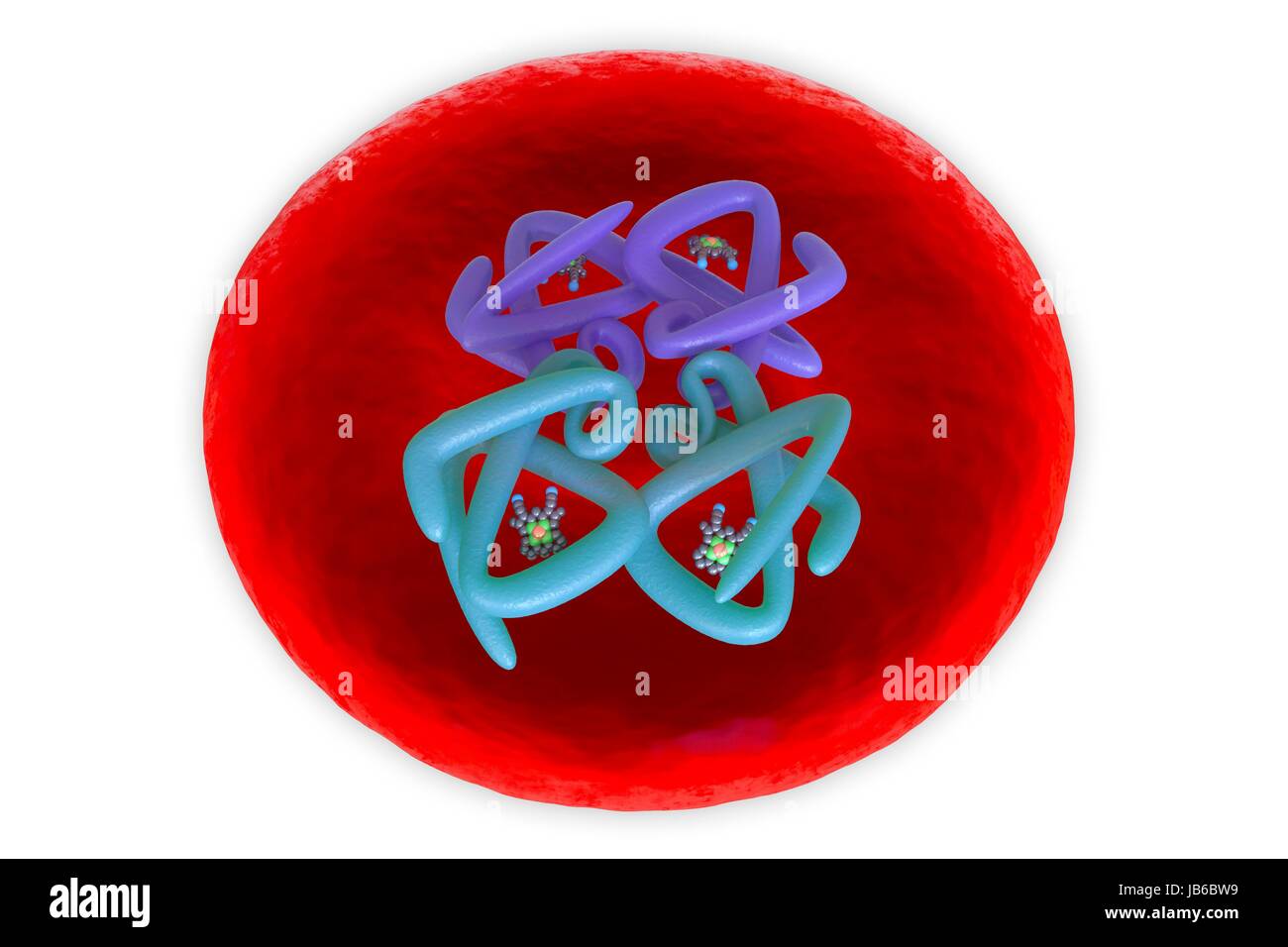 Rote Blutzelle-Struktur, Abbildung. Hämoglobin-Molekül im Inneren ein rotes Blutkörperchen. Stockfoto