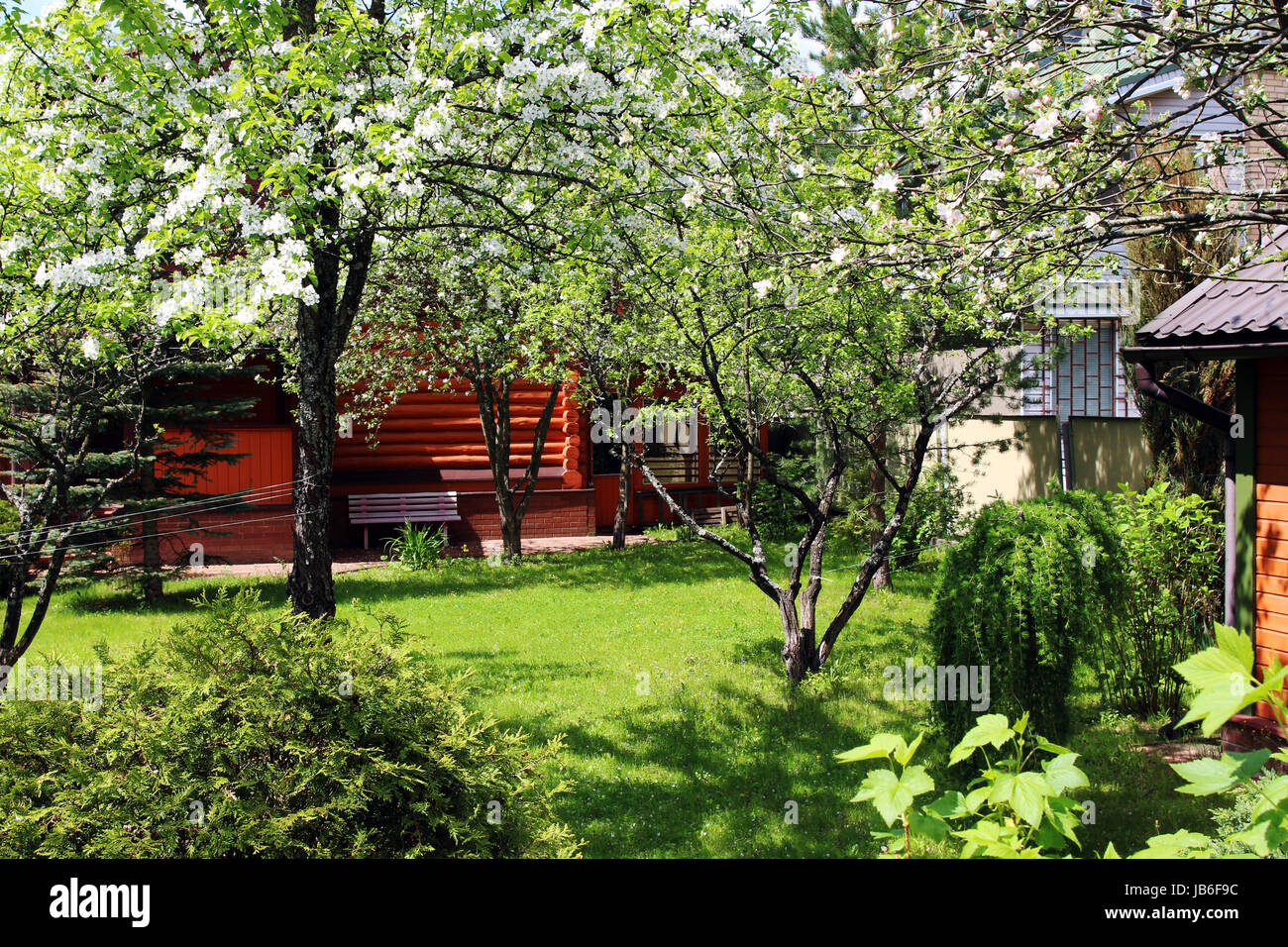 Ein Garten im Hinterhof mit Bäumen und Sträuchern im Frühjahr Stockfoto