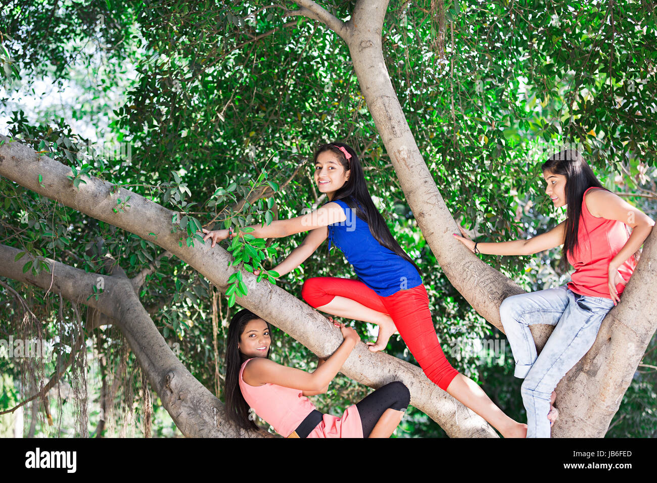 3 Indischen halbwüchsigen Jungen Mädchen klettern Baum im Park genießen Lächelnd Stockfoto