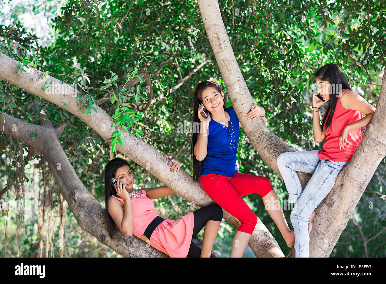 3 Indischen halbwüchsigen Jungen Mädchen klettern Ast und am Telefon sprechen In Park Stockfoto