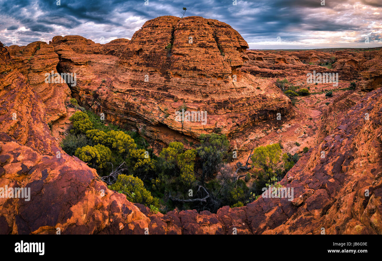 Labyrinth von verwitterter Sandstein Kuppeln im Watarrka National Park, Northern Territory Stockfoto