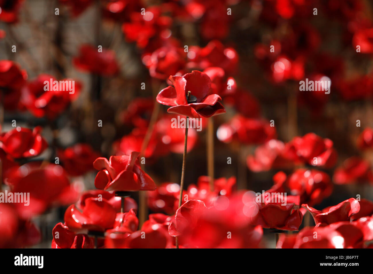 London, UK. 9. Juni 2017. Erste vollständige öffentliche Zurschaustellung von der weinenden Mohn Schaufenster im Derby Seide Mühlenturm. Die Anzeige erfolgt bis mehrere tausend der Keramik Blumen erstellt von Derbyshire Paul Cummins und war Teil der herrlichen Blut Mehrfrequenzdarstellung Länder und Meere von Red Ausstellung im Tower von London im Jahr 2014. Derby, Großbritannien. 9. Juni 2017. Bildnachweis: Richard Holmes/Alamy Live-Nachrichten Stockfoto