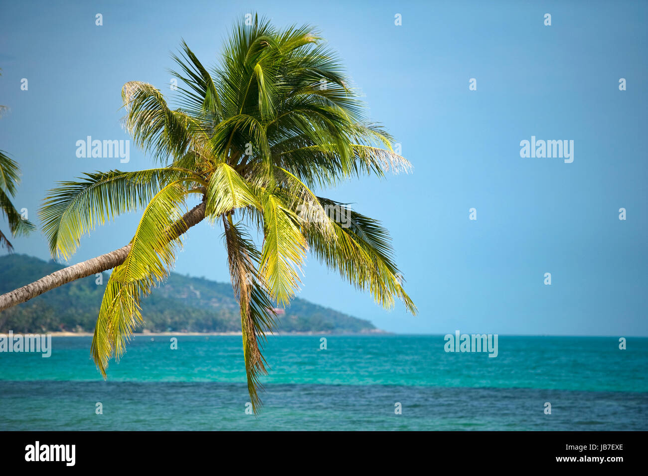 Samui Insel Stockfoto