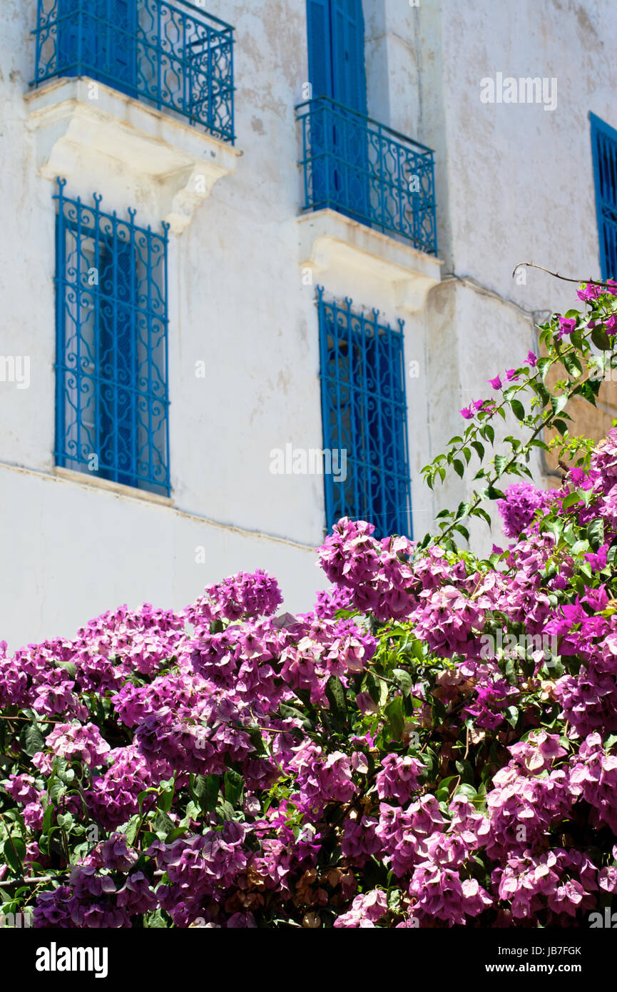 Tunesische Fenster und Blumen in Sidi Bou Said Stockfoto