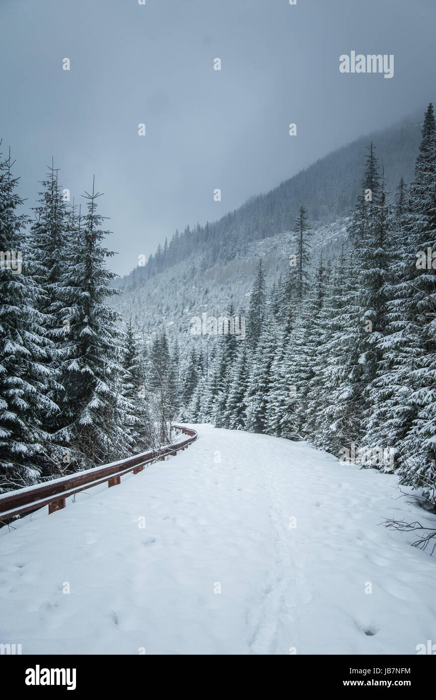 Ein schönen Winter Berge Wald Landschaft mit einer Straße. Westliche Tatra-Gebirge in der Slowakei Stockfoto