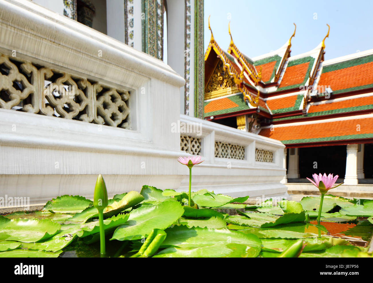 Lotus-Teich in Thai Tempel Stockfoto