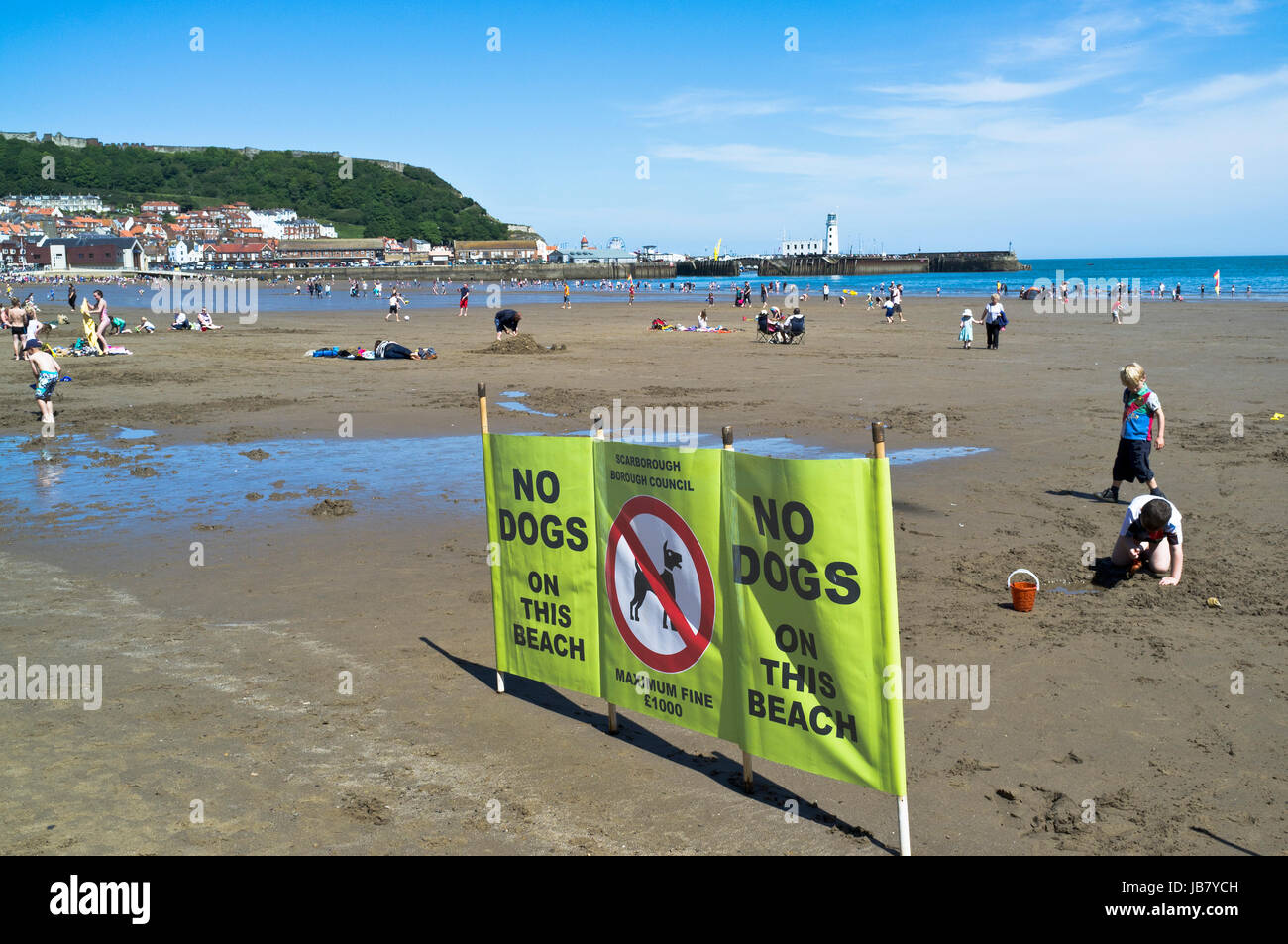 dh South Bay Beach SCARBOROUGH NORTH YORKSHIRE Keine Hunde erlaubt schild Hund Warnschilder beschildert Strände Wegweiser UK Stockfoto