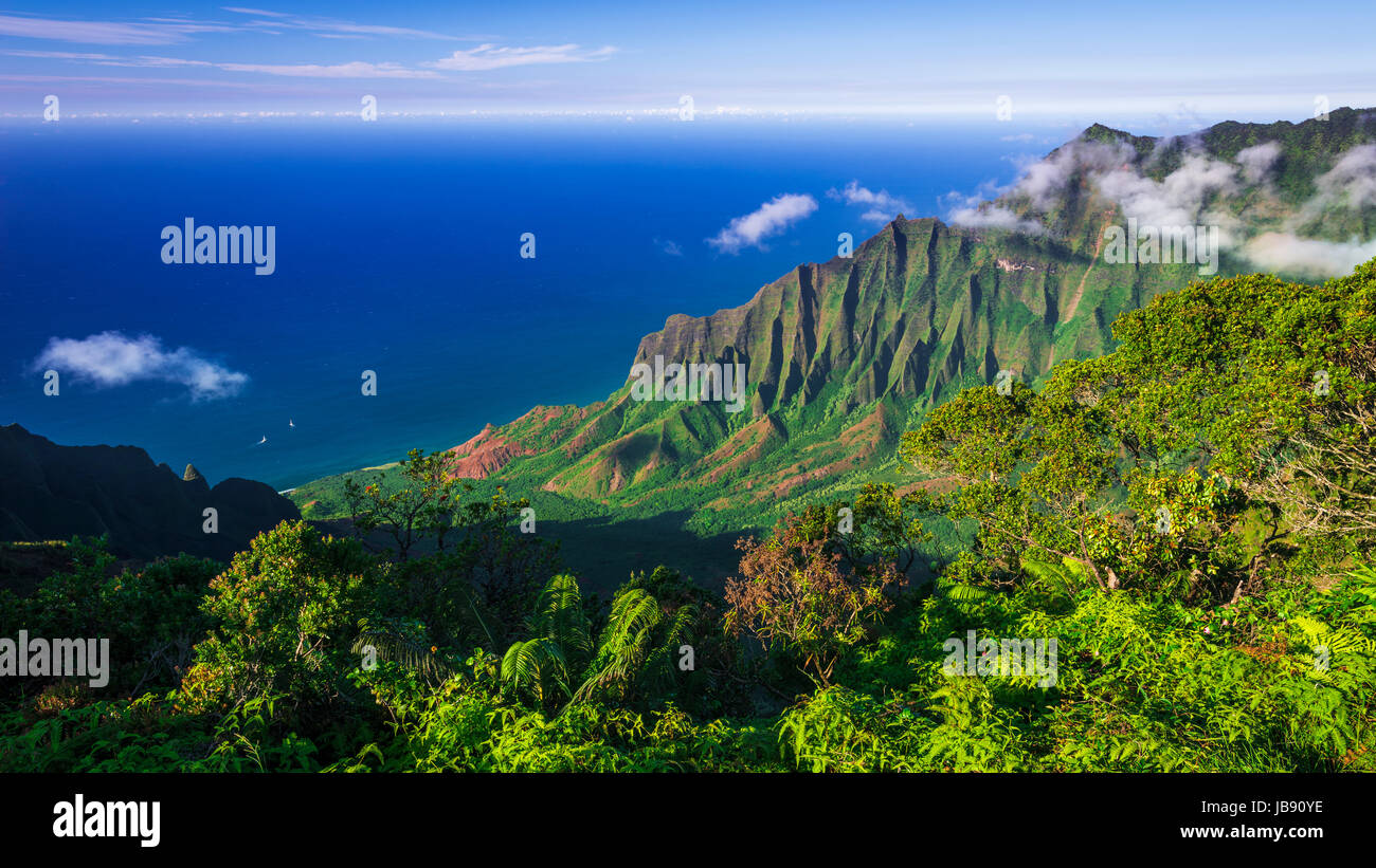 Kalalau Valley und die Na Pali Coast aus Kalalau Lookout, Kokee State Park, Kauai, Hawaii USA Stockfoto