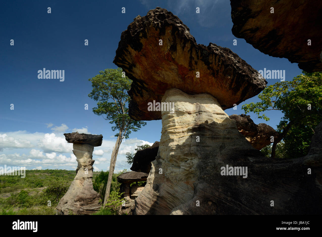 Sterben Sie Landschaft Und Pilzfoermigen Steinformationen Im Pha Taem Nationalpark in der Umgebung von Ubon Ratchathani Im Nordosten von Thailand in Suedostasien. Stockfoto