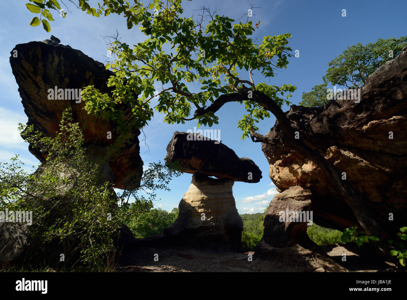 Sterben Sie Landschaft Und Pilzfoermigen Steinformationen Im Pha Taem Nationalpark in der Umgebung von Ubon Ratchathani Im Nordosten von Thailand in Suedostasien. Stockfoto