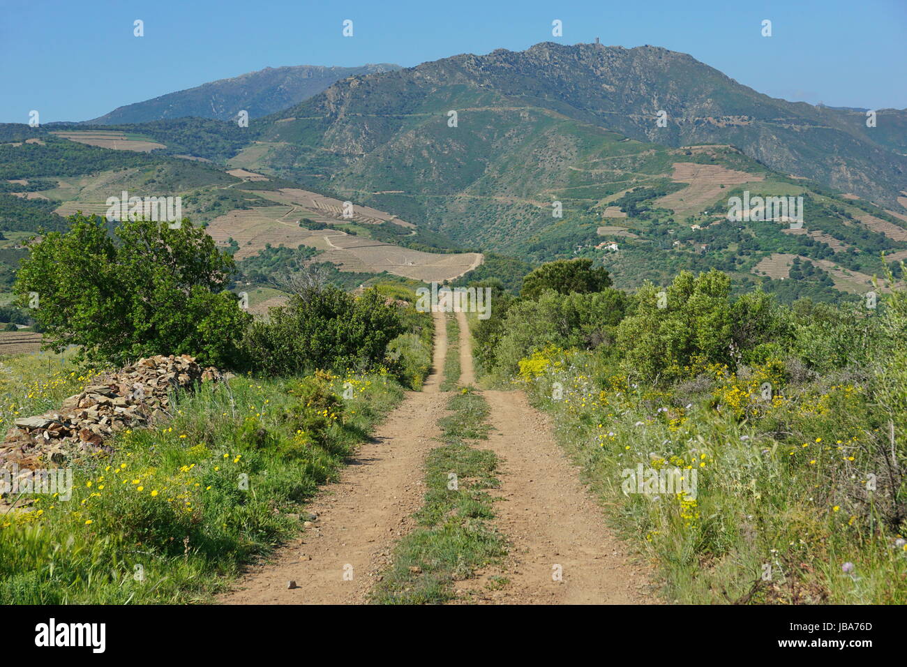 Pyrenäen-Orientales Landschaft, ländliche Weg in die Berge des Albera-Massivs in der Nähe von Banyuls Sur Mer, Roussillon, Südfrankreich Stockfoto