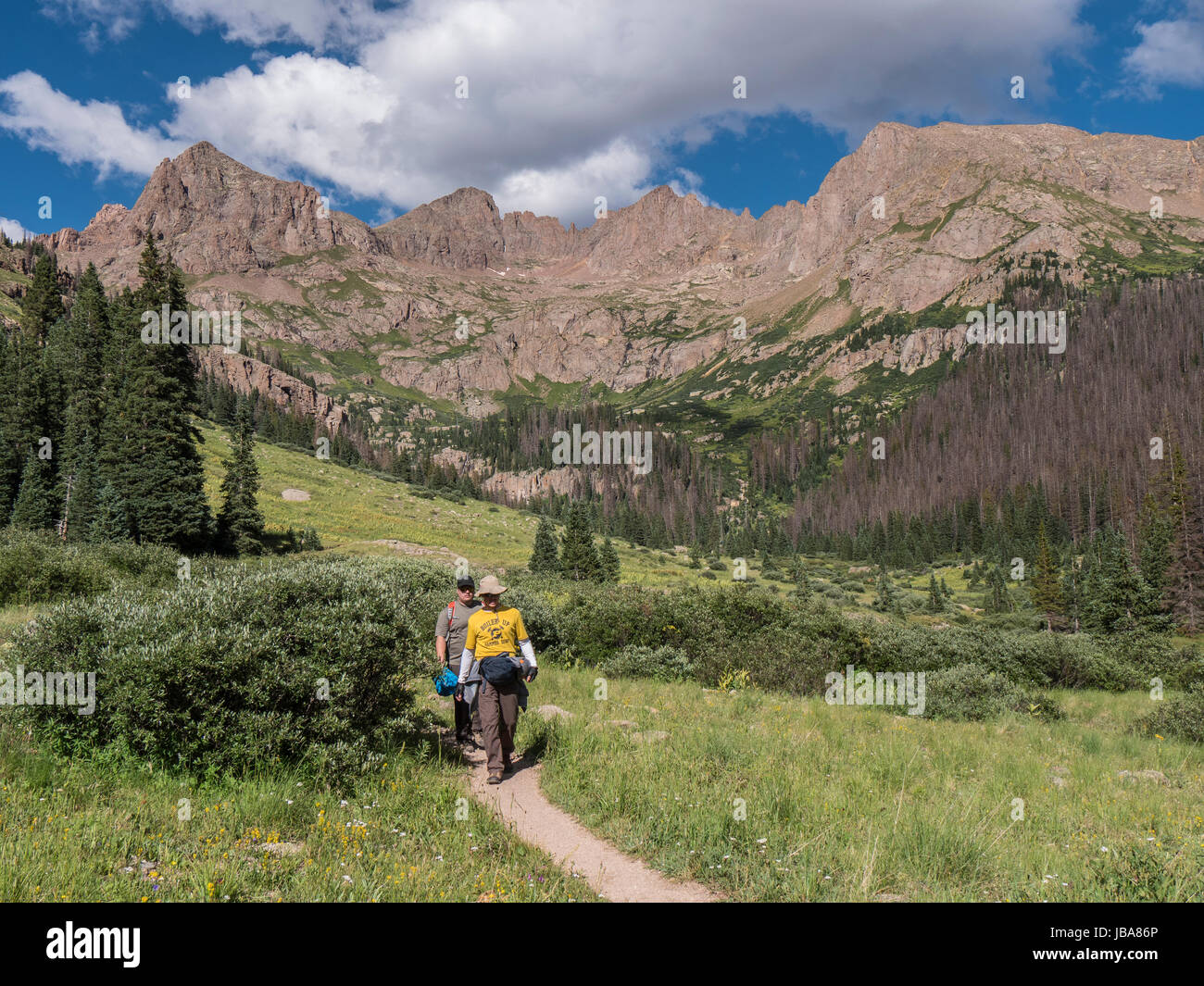 Wanderer auf der Nadel Creek Trail, Chicago-Becken, Weminuche Wilderness Area, San Juan National Forest zwischen Durango und Silverton, Colorado. Stockfoto