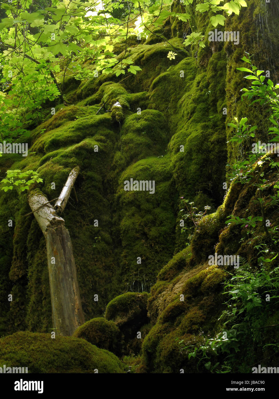 Blick Auf Schleierfälle, Ammergauer Alpen, Oberbayern, Deutschland Stockfoto
