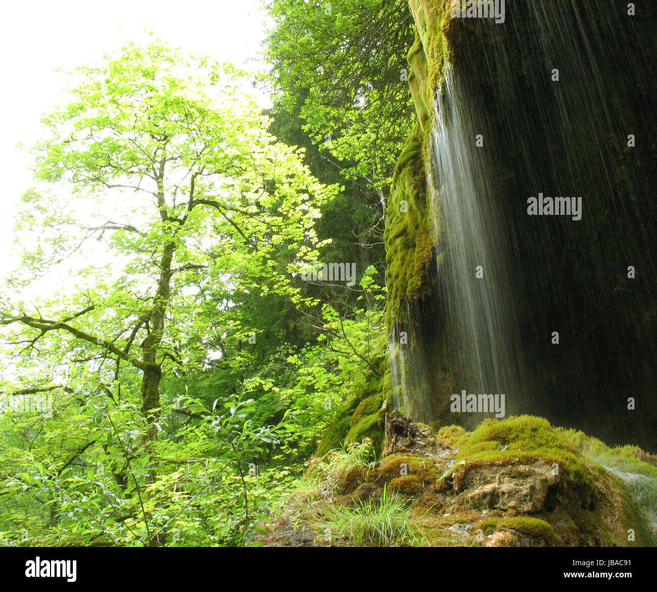 Blick Auf Schleierfälle, Ammergauer Alpen, Oberbayern, Deutschland Stockfoto