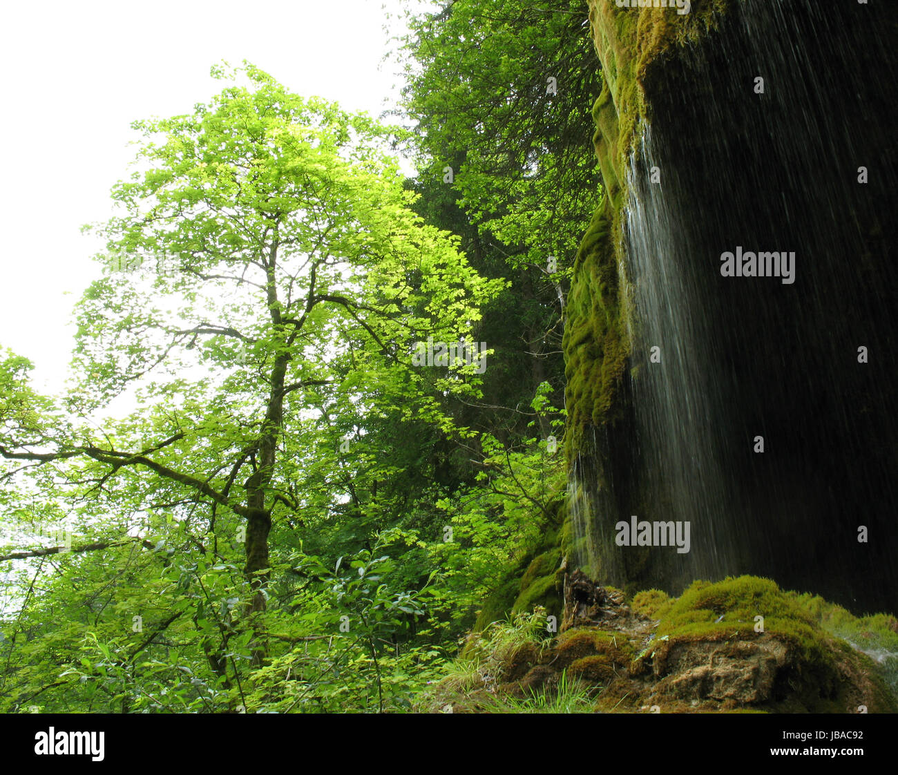 Blick Auf Schleierfälle, Ammergauer Alpen, Oberbayern, Deutschland Stockfoto