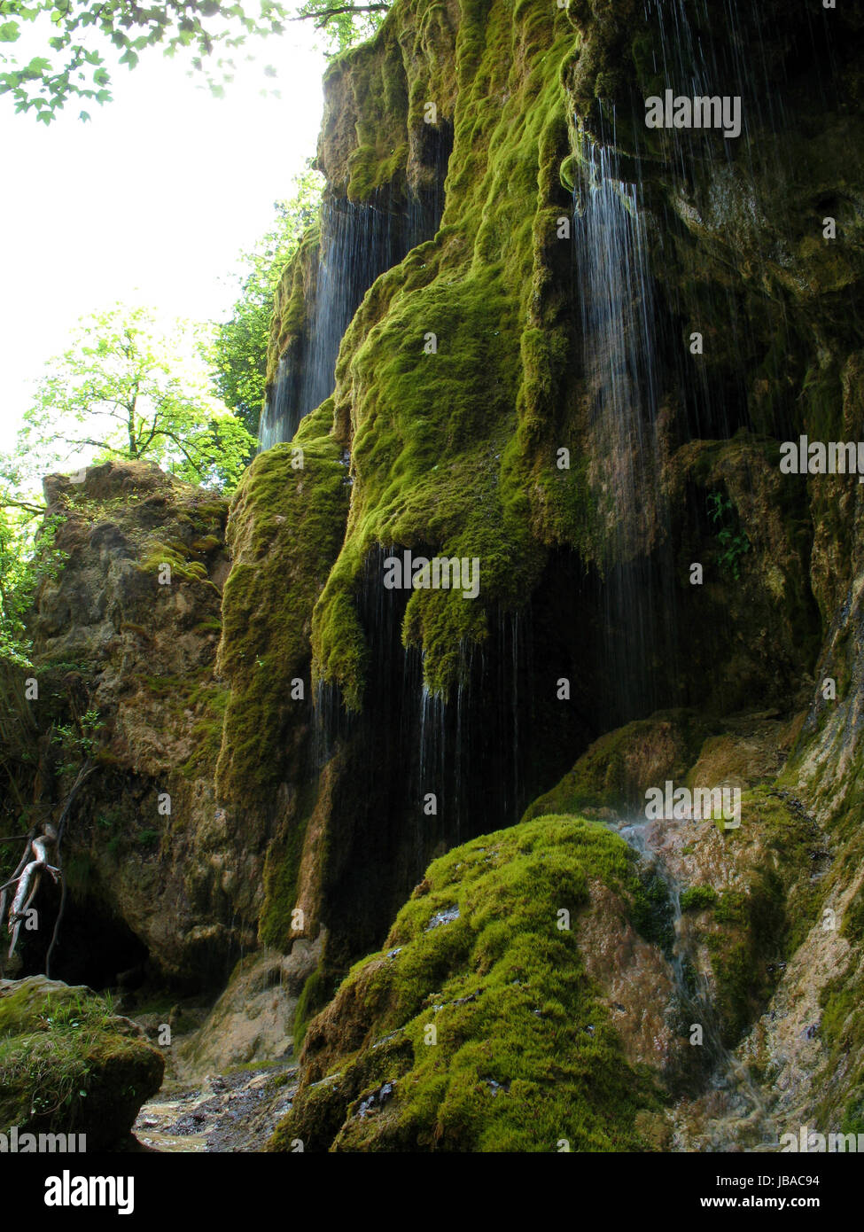 Blick Auf Schleierfälle, Ammergauer Alpen, Oberbayern, Deutschland Stockfoto