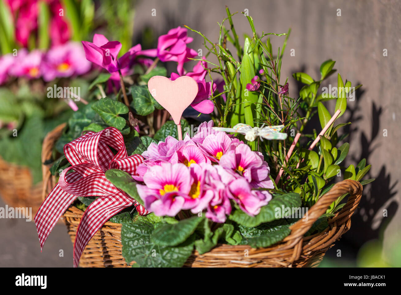 Buntsandstein Palet Blumen Blumenstrauß Mit Verschiedenen Blüten Zum Valentinstag Und Muttertag Stockfoto