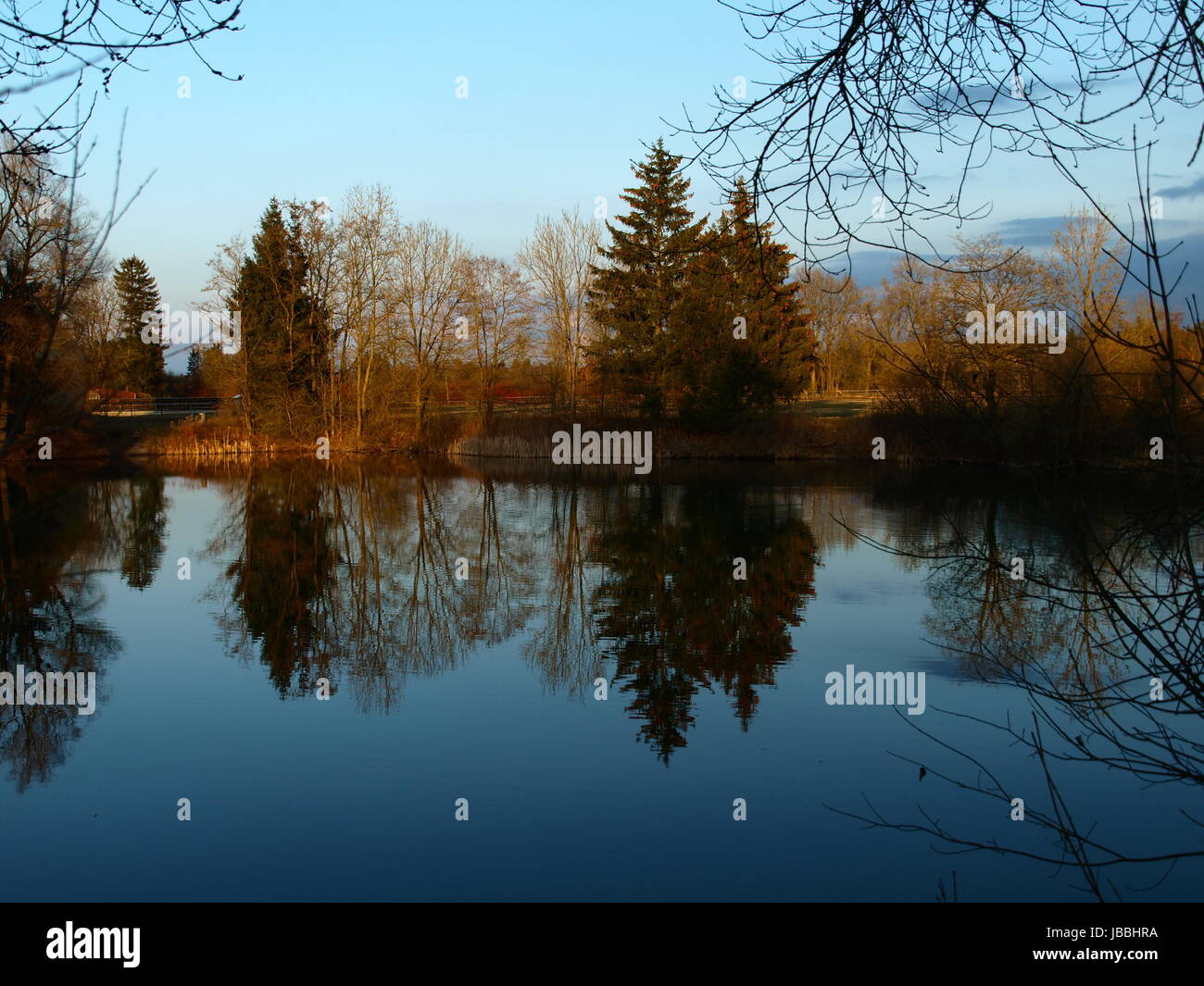 Die bonauer Teich im Abendlicht Stockfoto