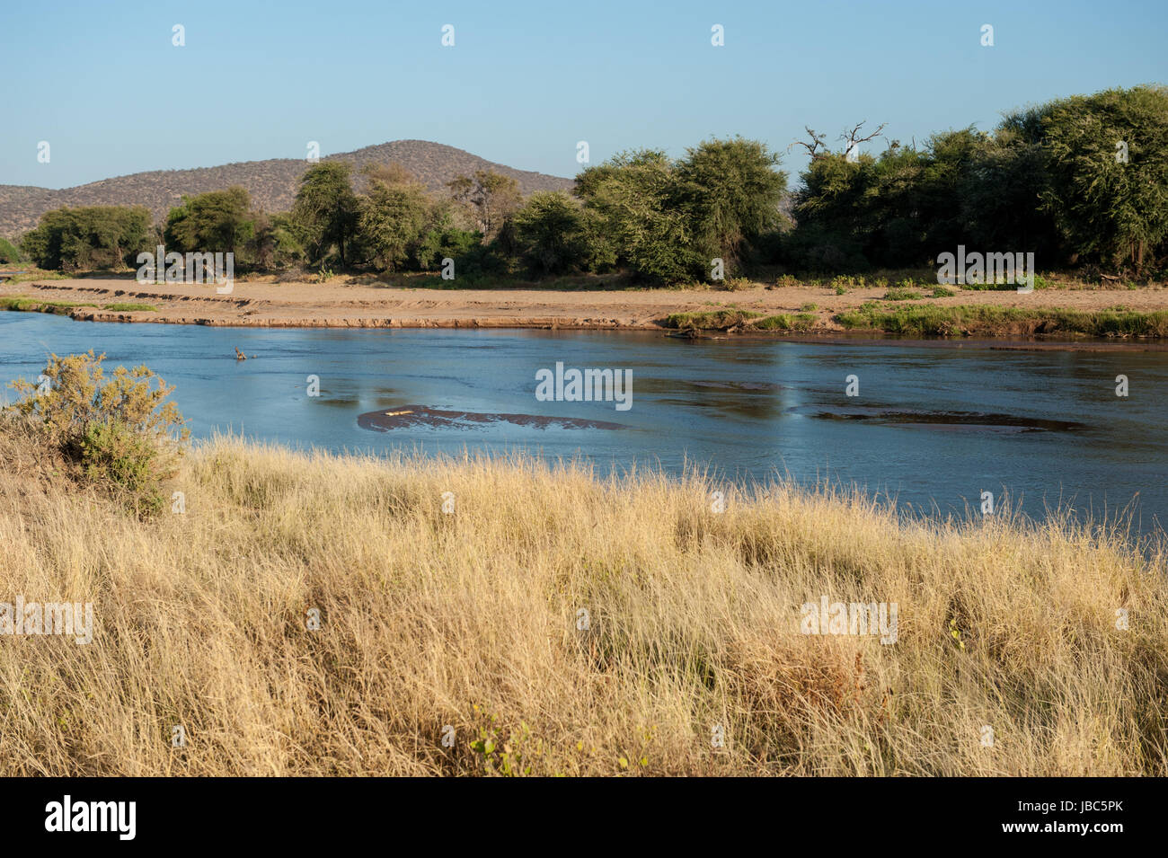 mit dem Auto auf Safari in Afrika Stockfoto