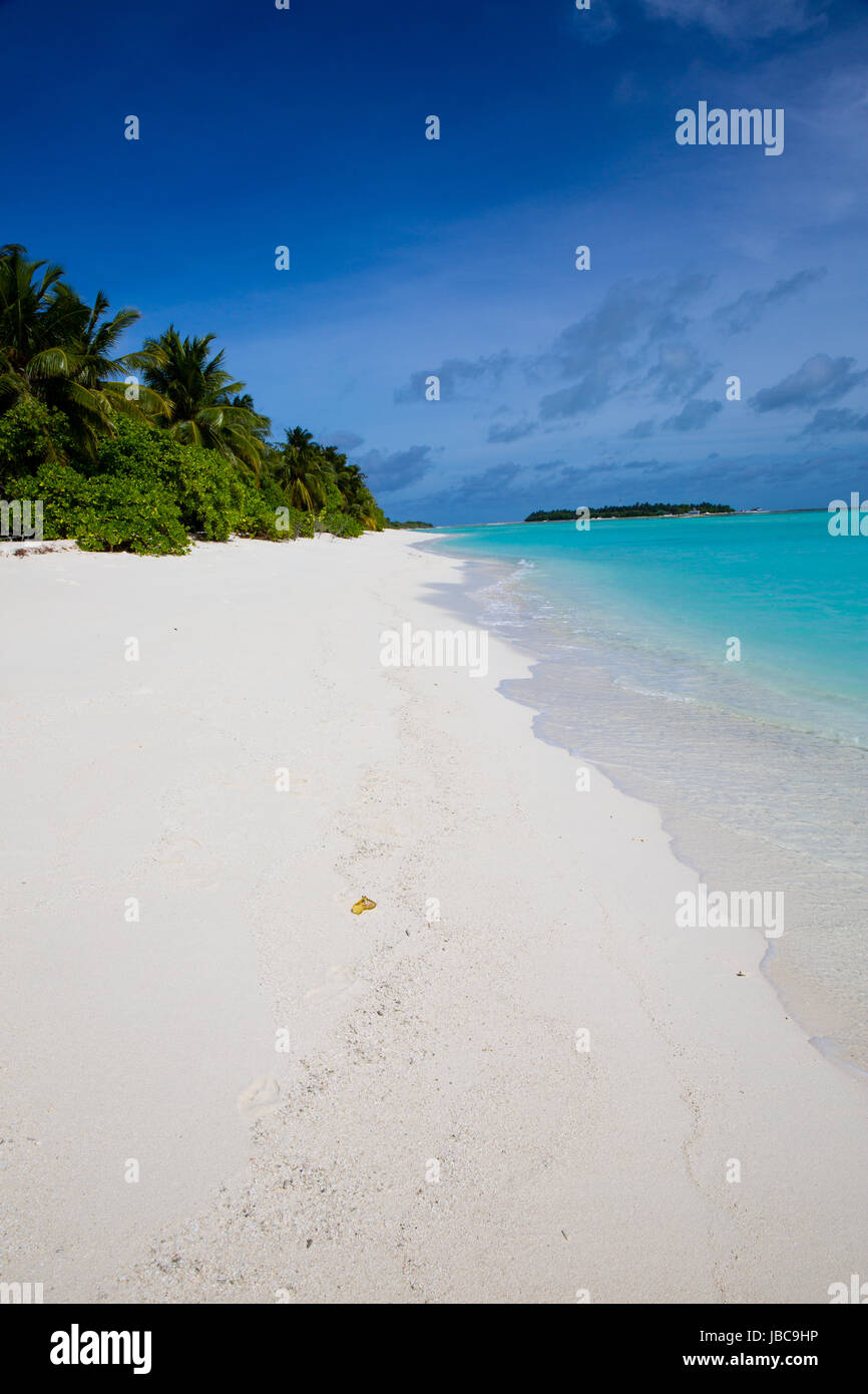 Pulver weißen Sand und üppig grüne Vegeatation auf einer Ferieninsel auf den Malediven. Stockfoto