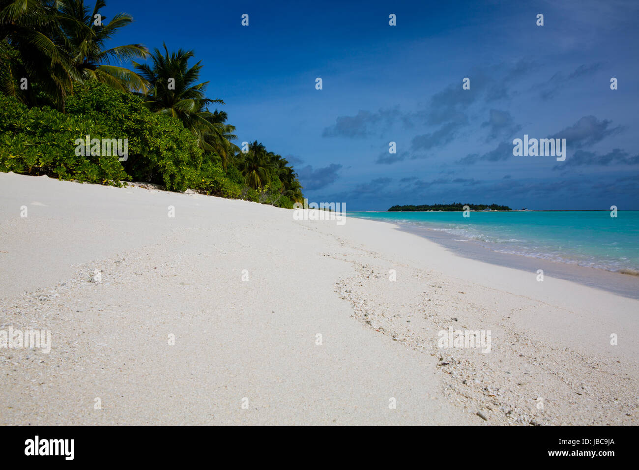 Pulver weißen Sand und üppig grüne Vegeatation auf einer Ferieninsel auf den Malediven. Stockfoto