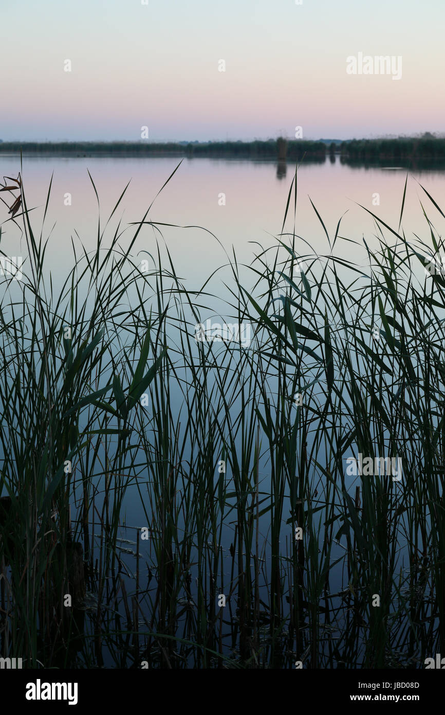 Sonnenaufgang im rumänischen Teil der Donau-Fluss-Delta. Donau-Fluss-Delta ist der unberührtesten Flussdelta in Europa. Stockfoto