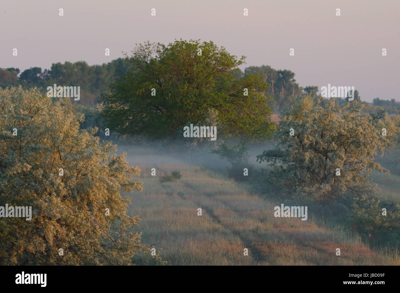 Sonnenaufgang im Fluß Donaudelta in Rumänien. Dieses Gebiet ist UNESCO-Weltkulturerbe und Biosphären-Reservat erklärt. Stockfoto