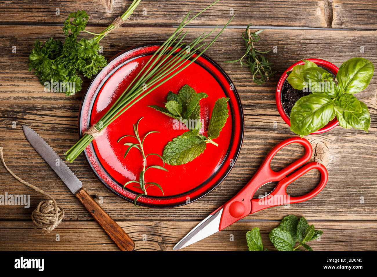 Frisch geerntete Gewürze mit Schere und Messer auf Holz Hintergrund Stockfoto