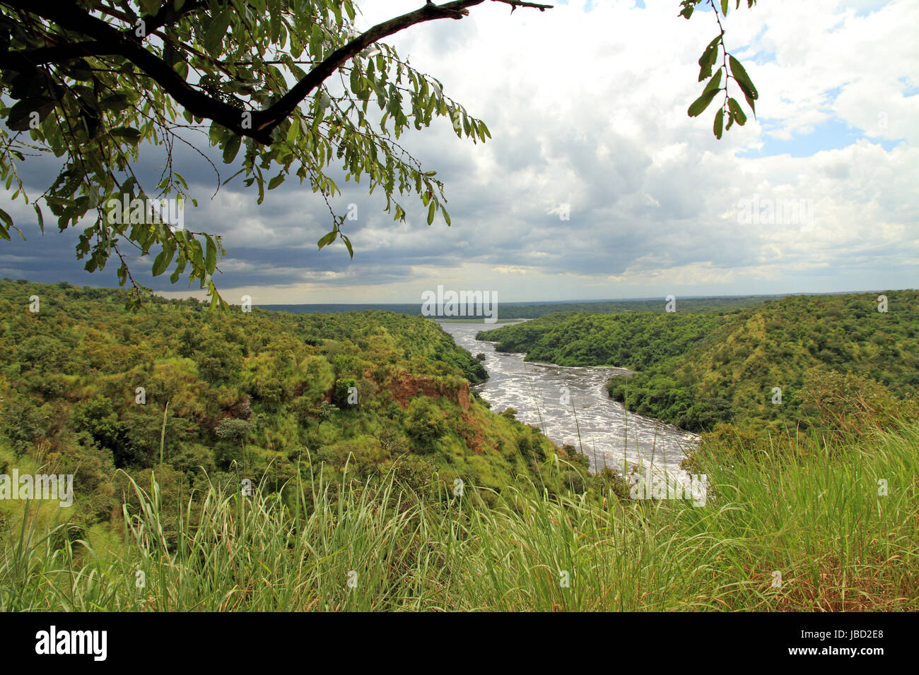 Ein dunkel bewölkter Sturm kommt über die Üppigkeit des Murchison Falls National Park Stockfoto