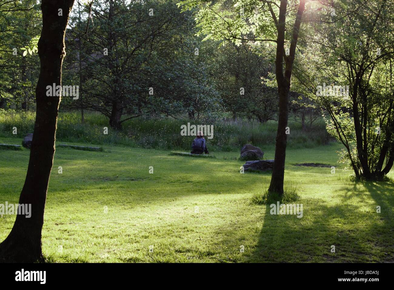 Frauen saßen auf Felsen betrachten - Queens Park - Heywood - Manchester Stockfoto