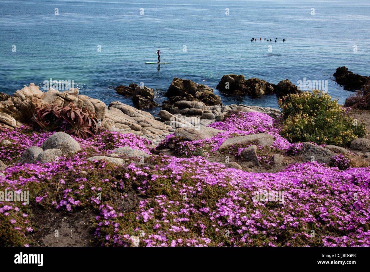 Reiseziel, Pacific Grove, Monterey County, Kalifornien Stockfoto