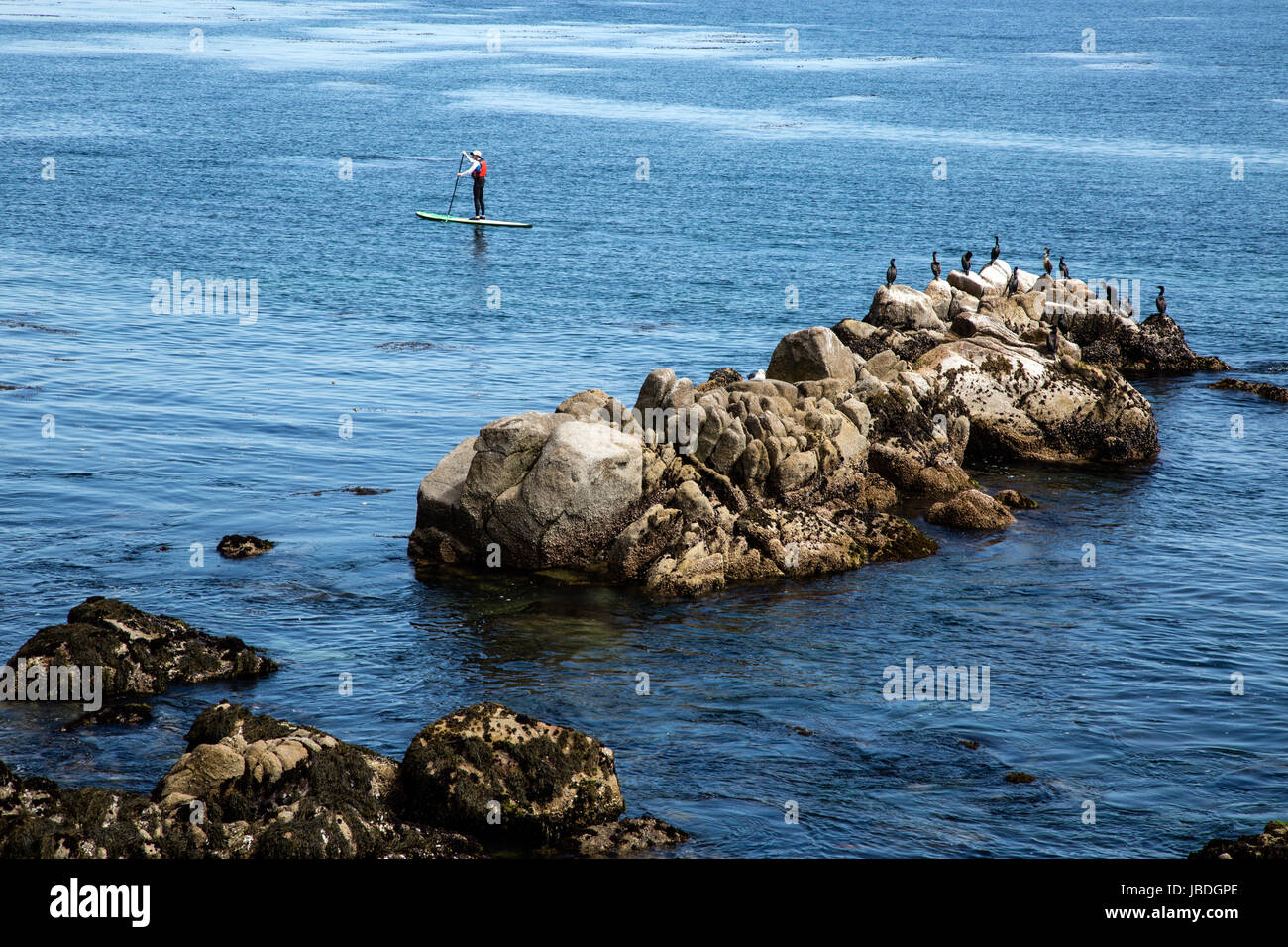Reiseziel, Pacific Grove, Monterey County, Kalifornien Stockfoto