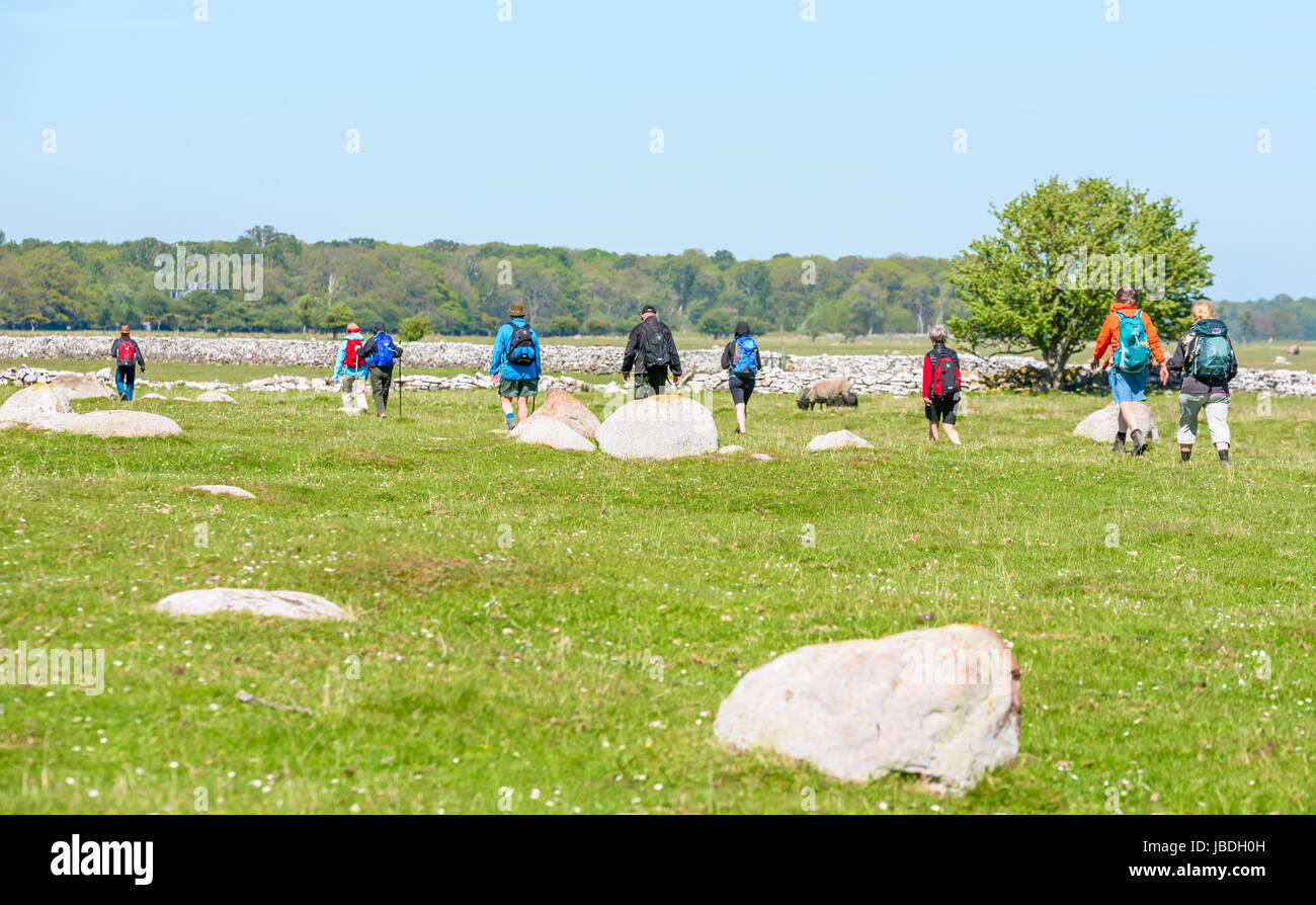 Ottenby, Schweden - 27. Mai 2017: Ökologische Dokumentarfilm. Gruppe von Wanderern entlang Kalksteinwand in kargen grüne Landschaft. Schafbeweidung in mir Stockfoto