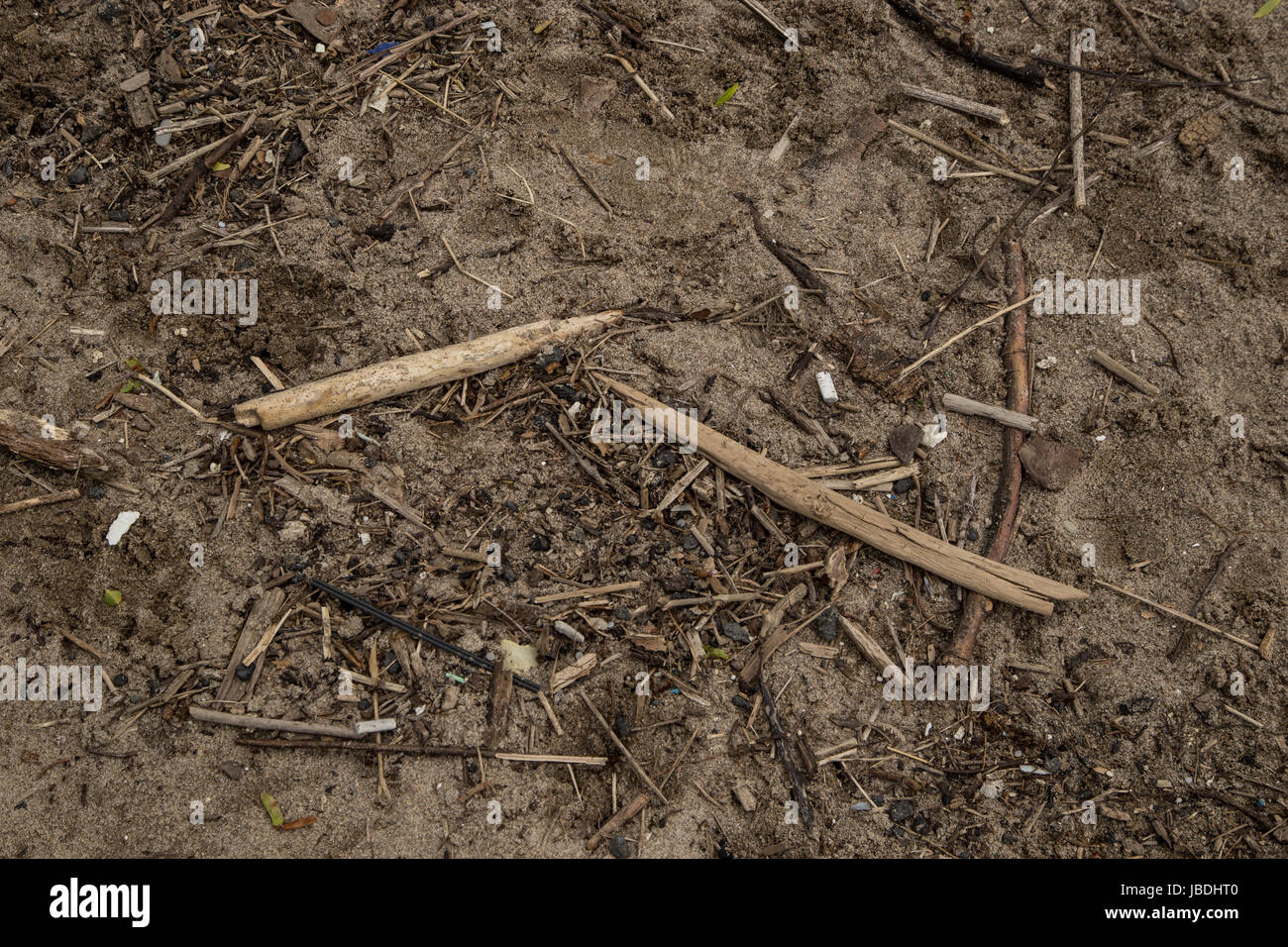 Strandzubehör - gespült Stockfoto