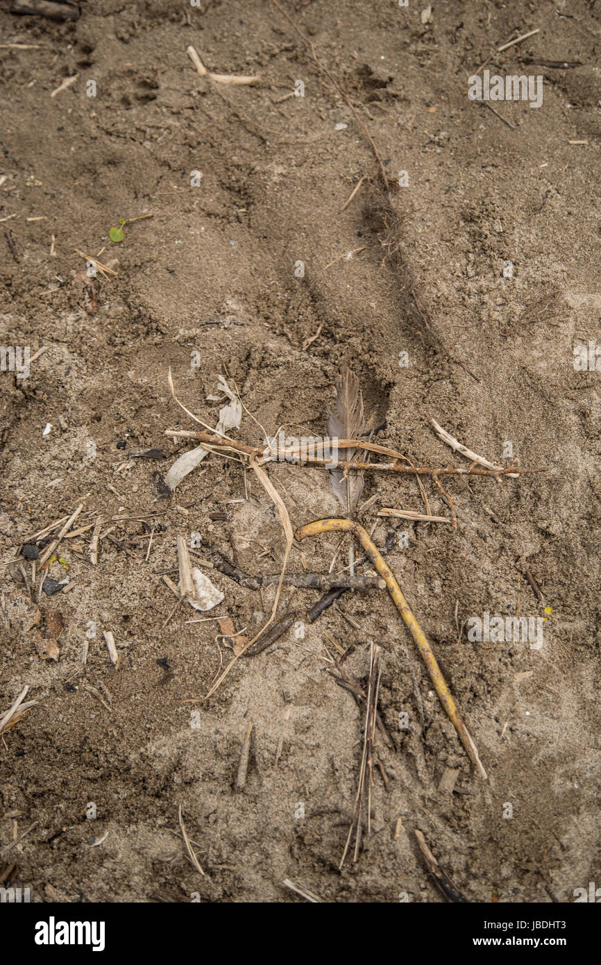 Strandzubehör - gespült Stockfoto