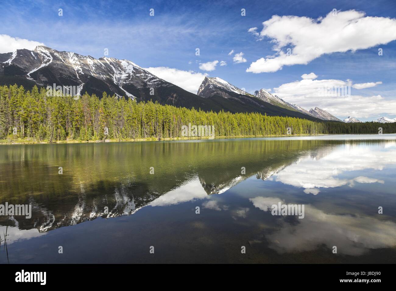 Mountain Peaks, Green Woodland, Blue Skyline spiegeln sich im ruhigen Wasser des Rockies Honeymoon Lake wider. Malerische Jasper National Park Landscape, Alberta, Kanada Stockfoto