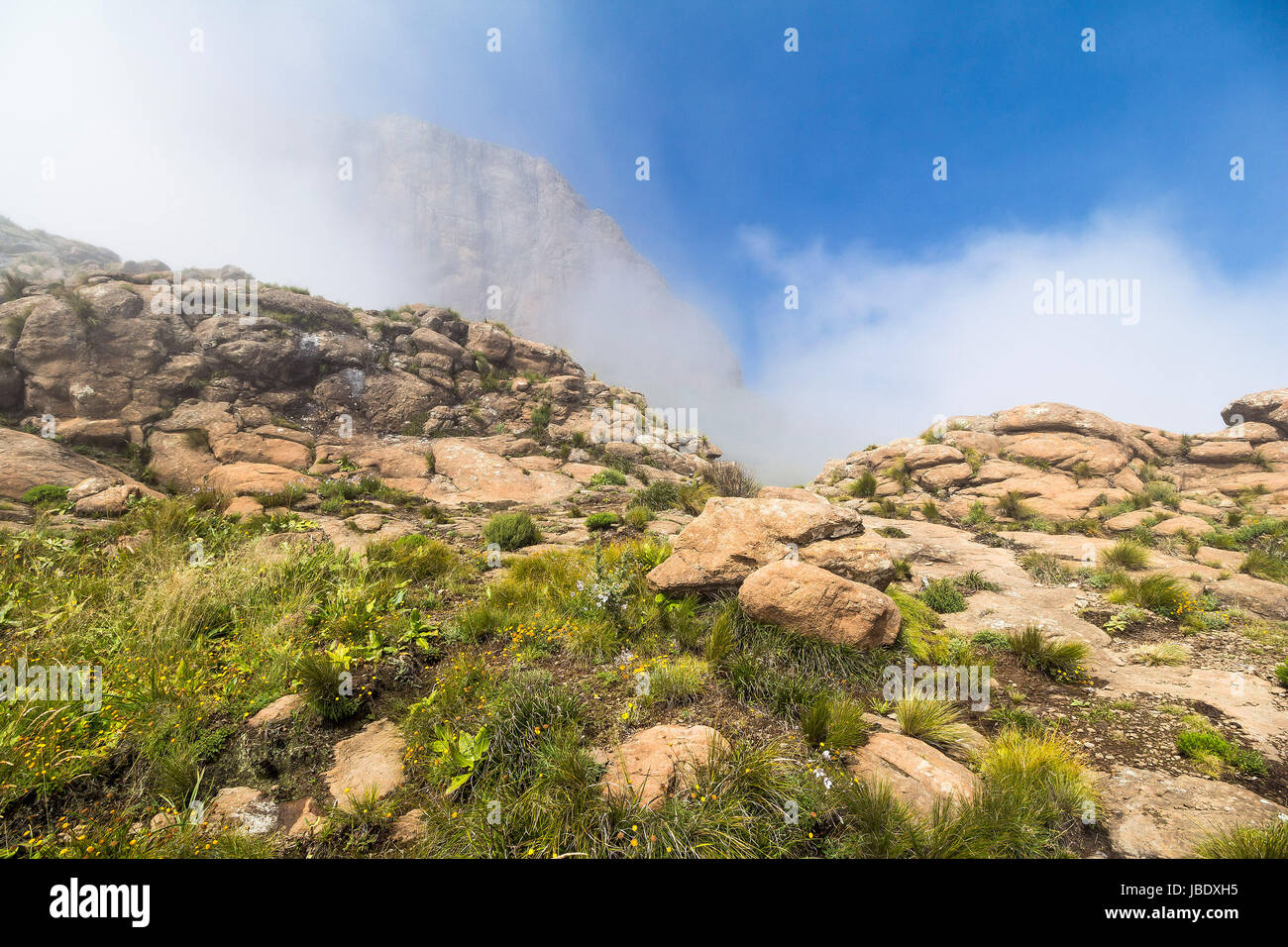 Über den Wolken auf Sentinel Wandern, Drakensberge in Südafrika Stockfoto