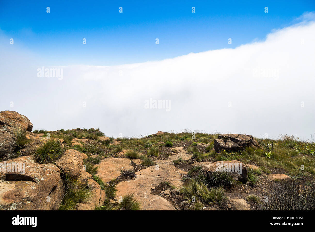 Über den Wolken auf Sentinel Wandern, Drakensberge, Südafrika Stockfoto