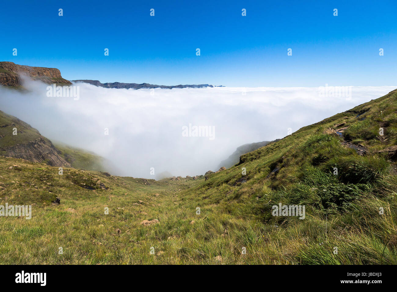 Über den Wolken auf Sentinel Wandern, Drakensberge, Südafrika Stockfoto