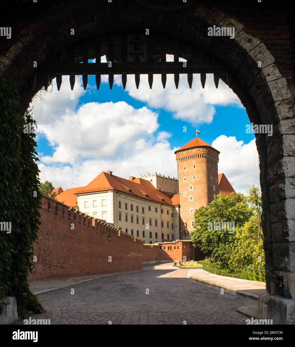 Sommer-Wawel-Schloss auf dem Wawel-Hügel in Krakau, Polen Stockfoto