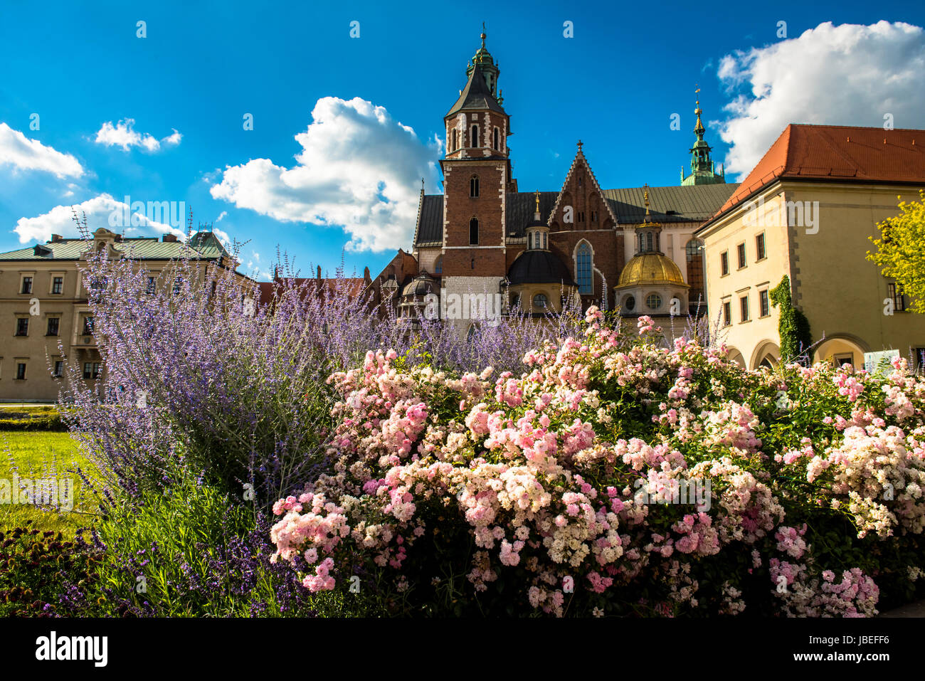 Wawel-Kathedrale in Krakau, Polen Stockfoto